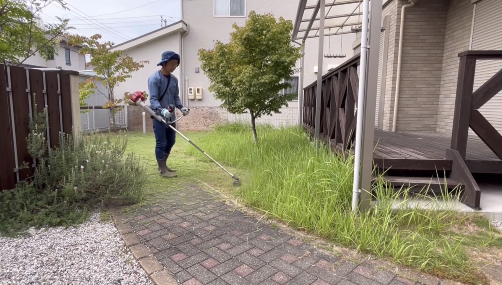 庭木の剪定作業の様子2