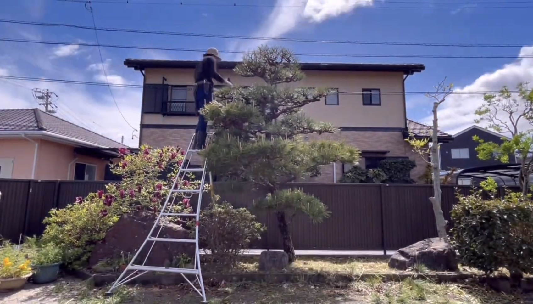 庭木の剪定作業の様子3