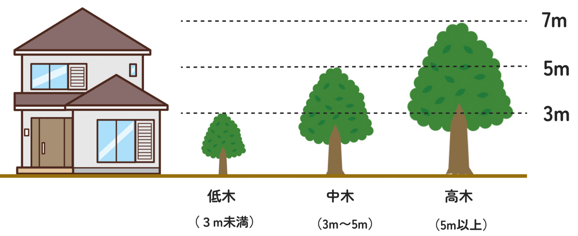 木の高さを示したサンプル図